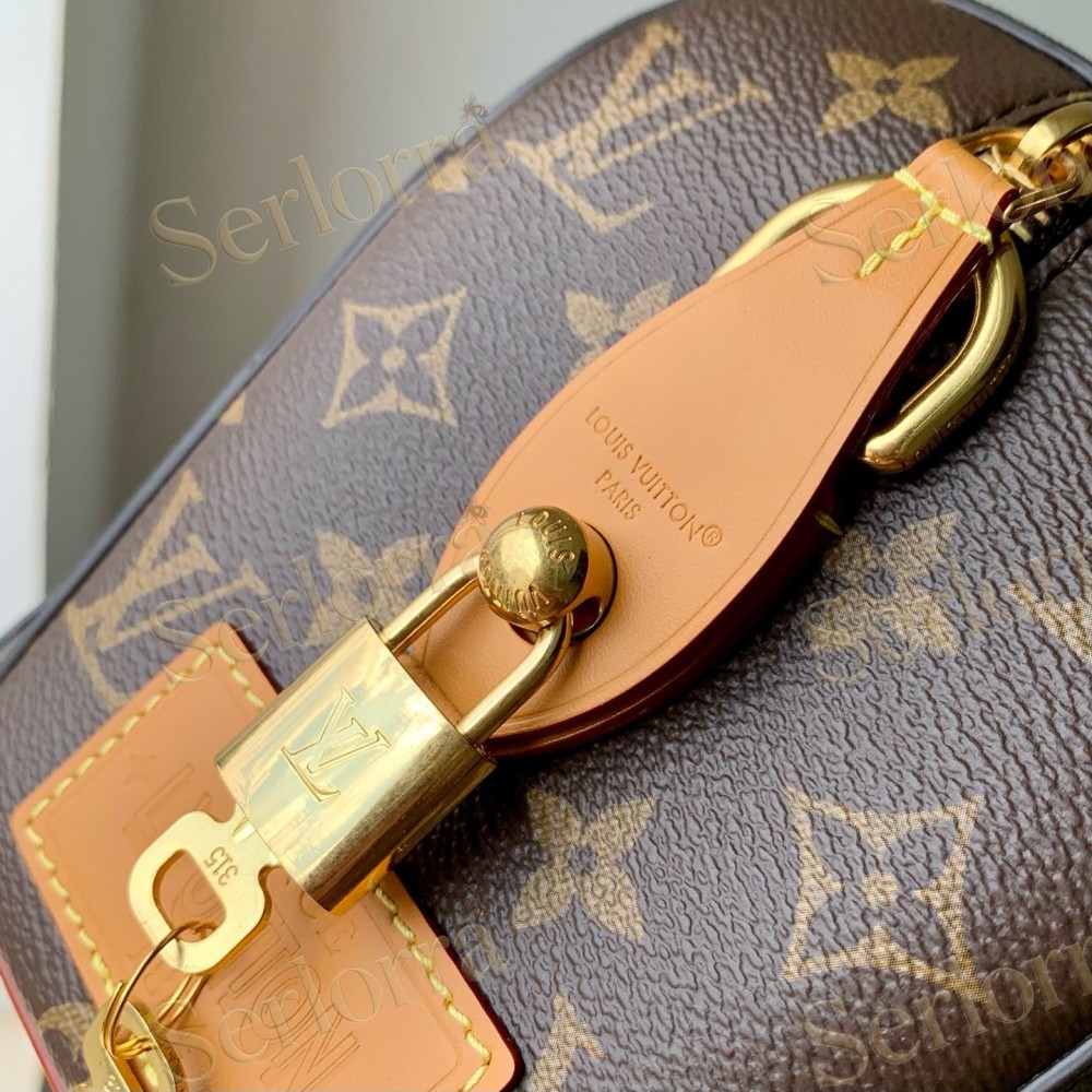 LOUIS VUITTON MONOGRAM WHEELED PET CARRIER BAG