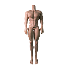 180cm Muscular