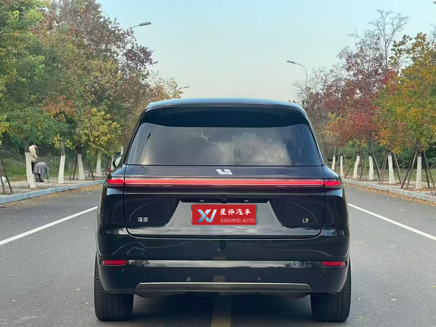 2024 Li Auto L9 PRO | 80,000 km | Premium 6-Seat Range-Extender SUV for Export