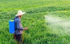 Bentonite Pesticide Formulation - Bentonite Clay Suppliers