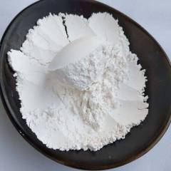 Absorbent Grade Diatomite