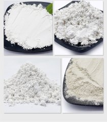 Carrier Grade Diatomite