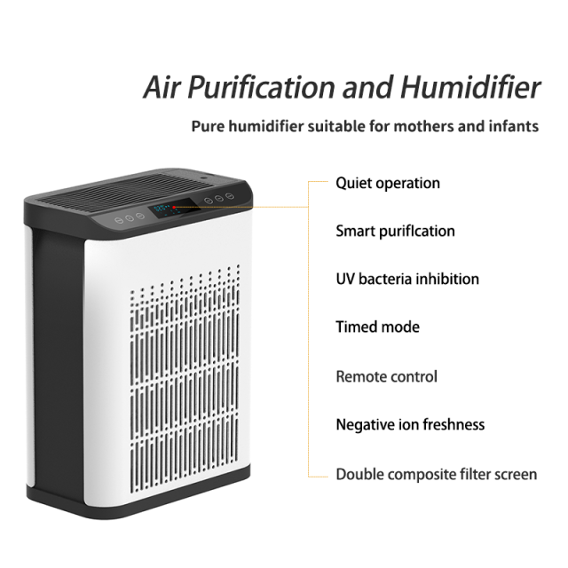 Purifying Humidifier