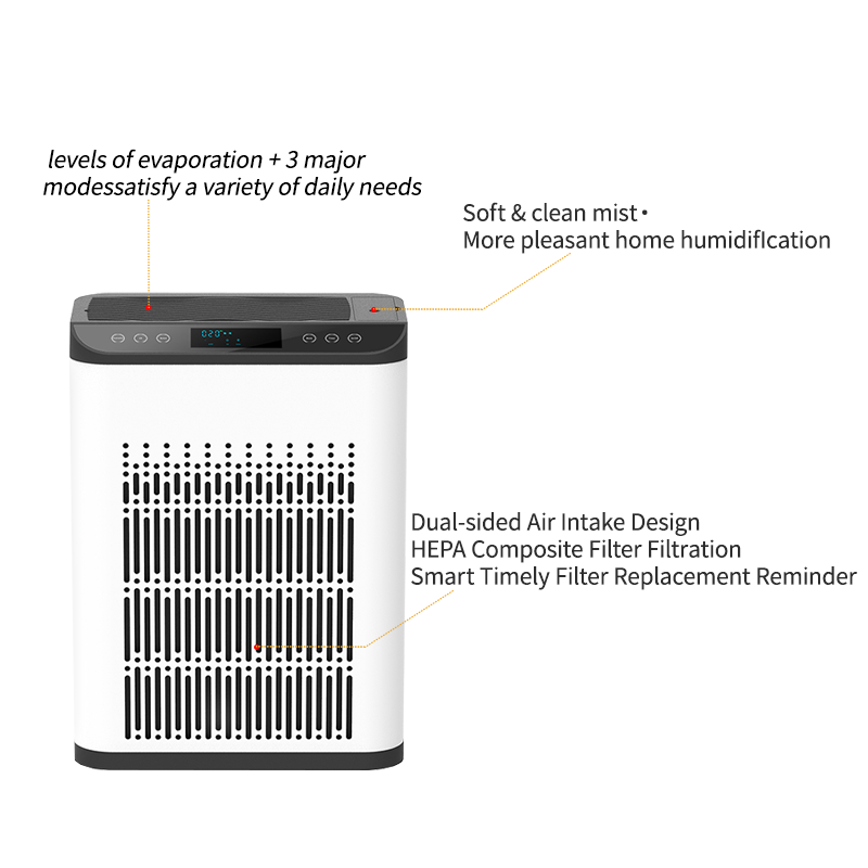 Purifying Humidifier