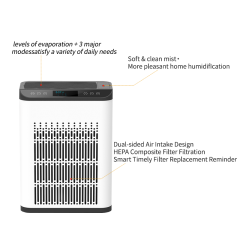 Purifying Humidifier