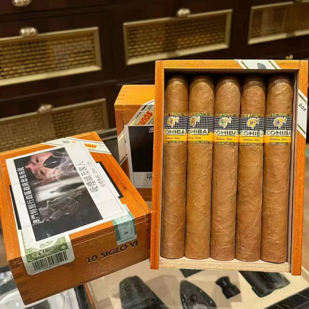 高希霸 世纪6号10支