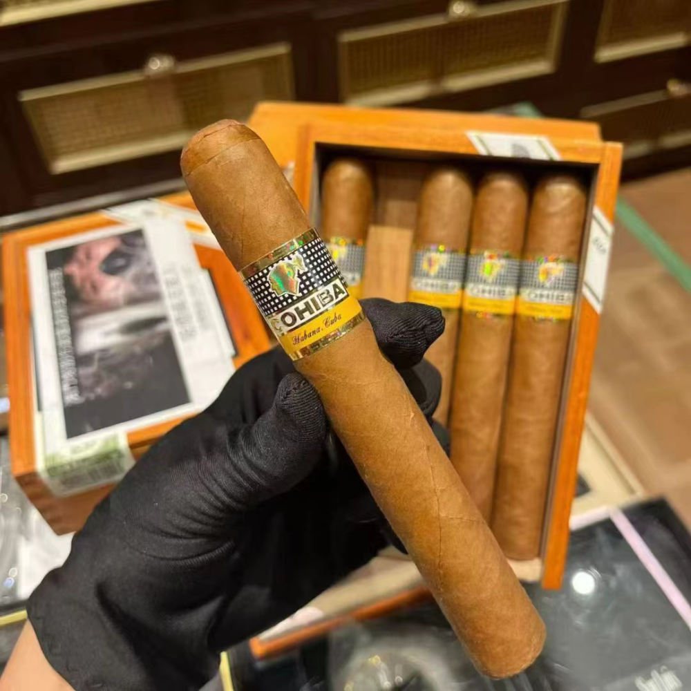 高希霸 世纪6号10支