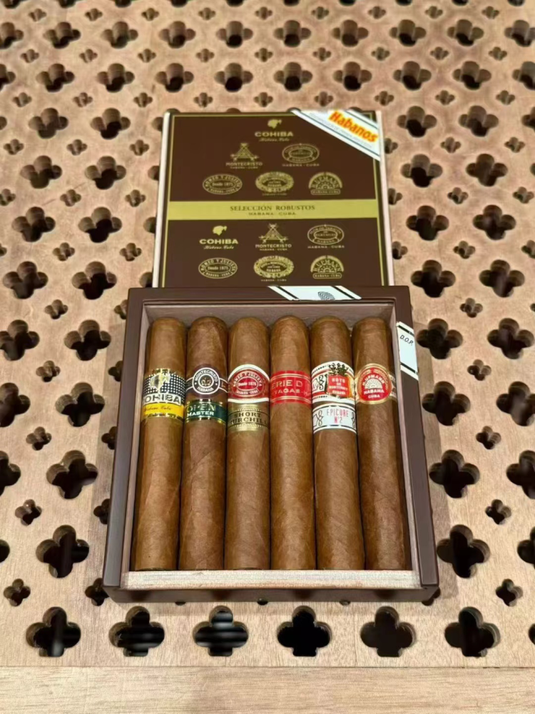 罗伯图  精选6支