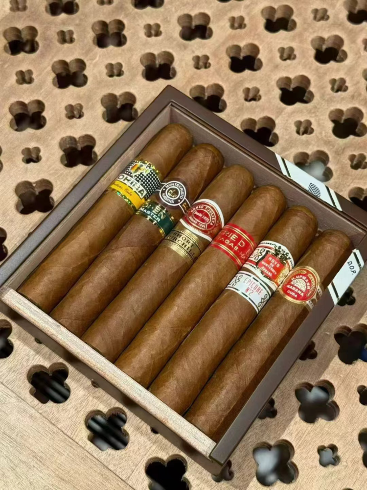 罗伯图  精选6支