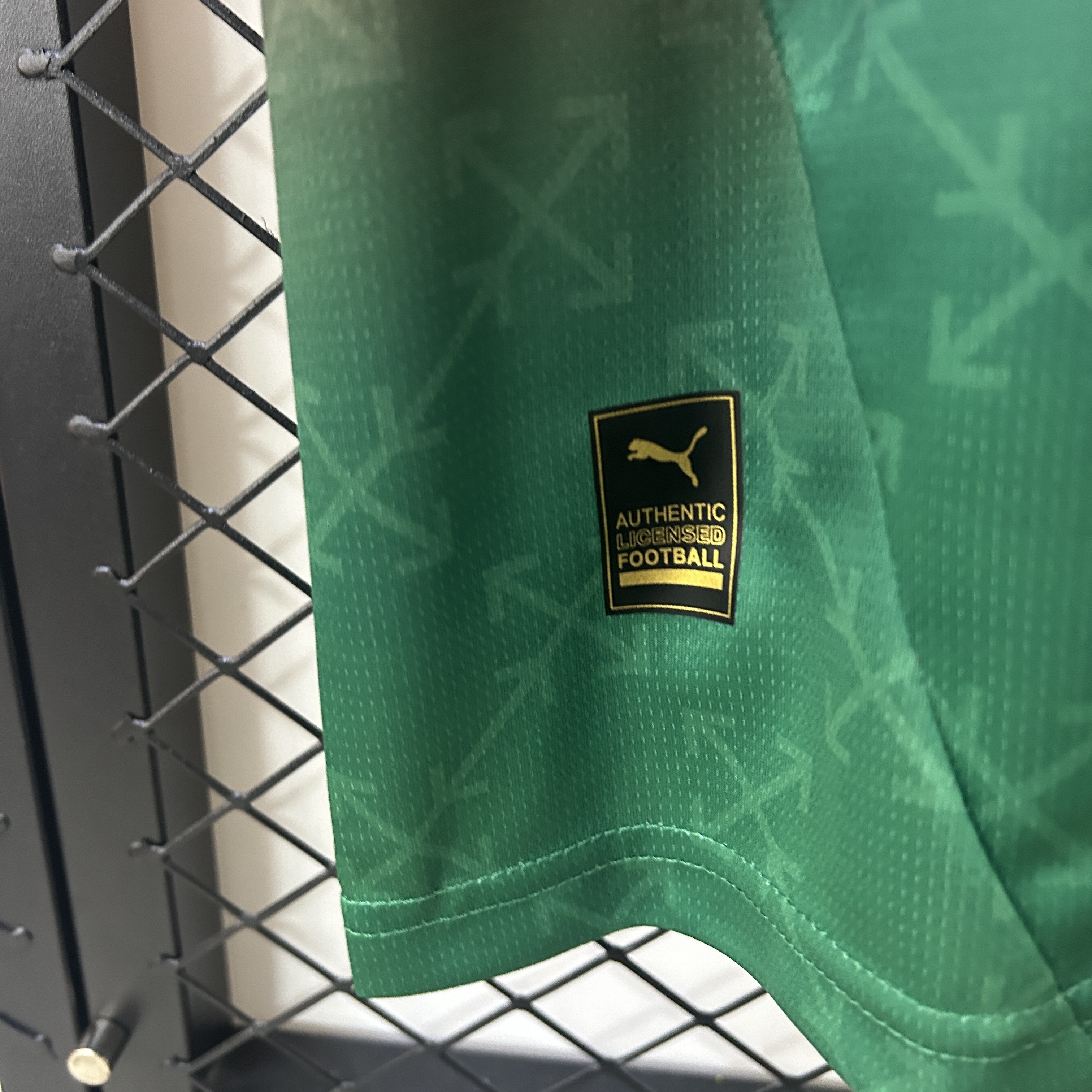 2025/26 AC Milan Red And Green Special Jersey
