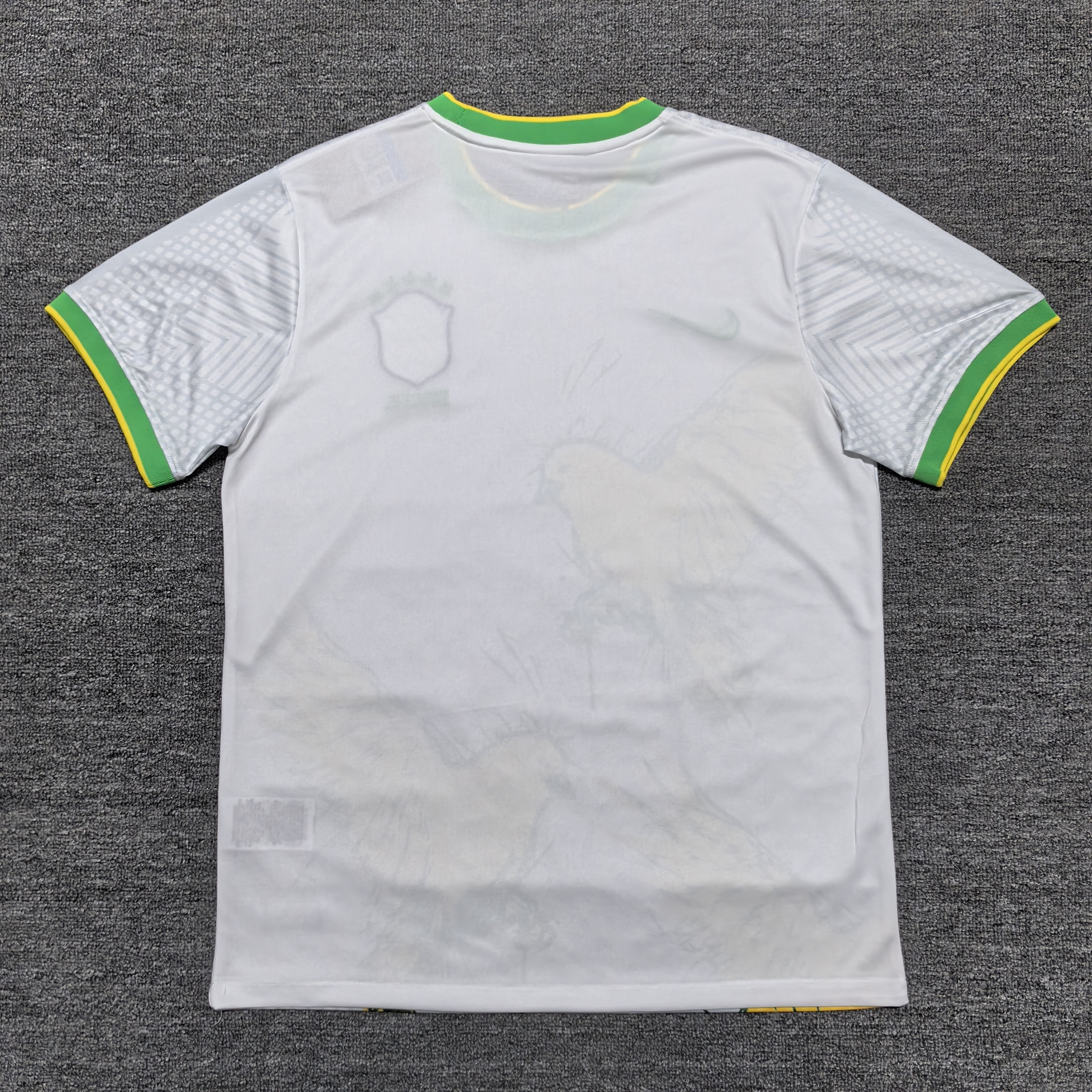 2025/26 Brazil Special Edition Jersey