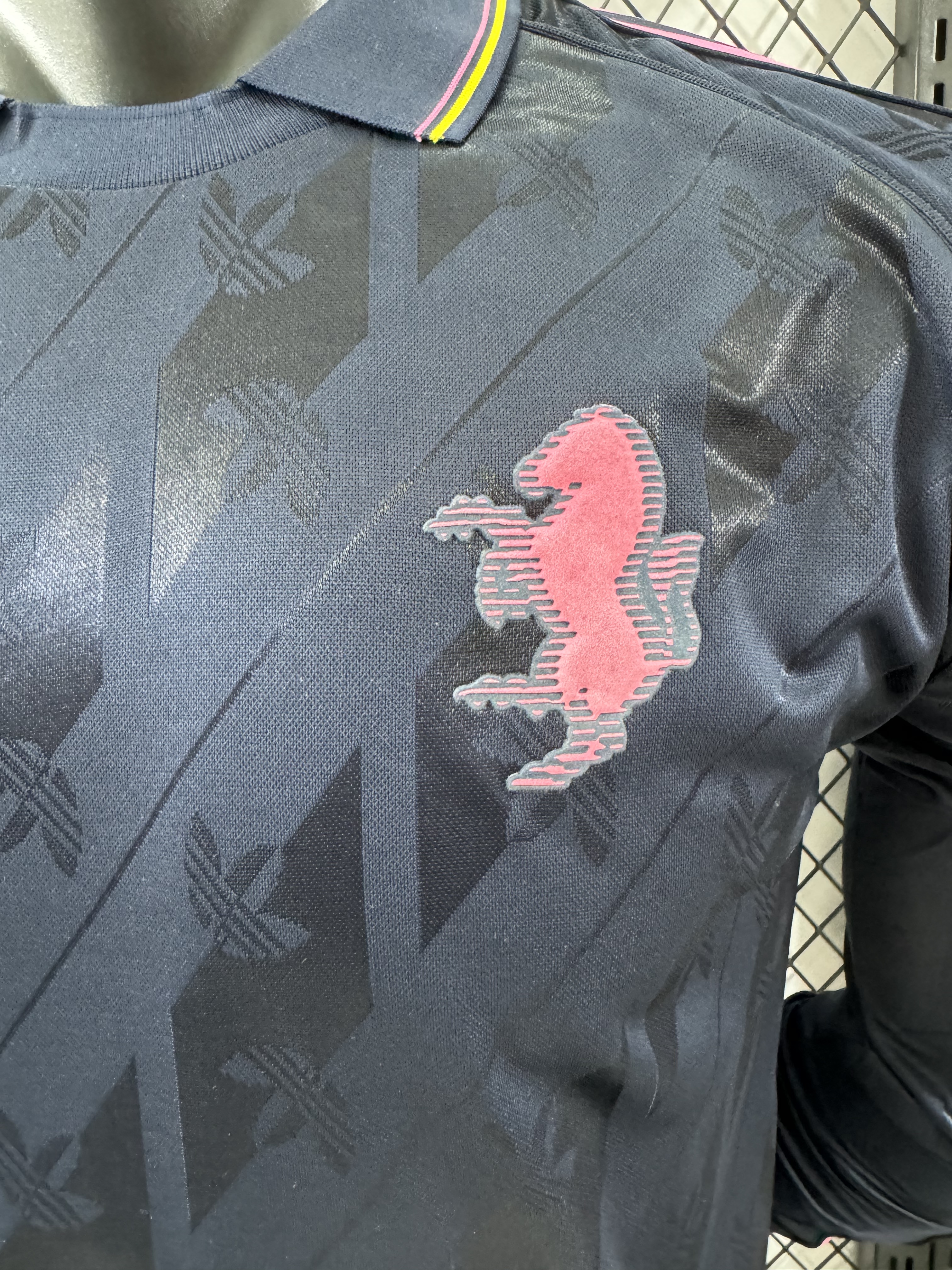 2024/25 Juventus ?Players Special Edition Long Sleeve