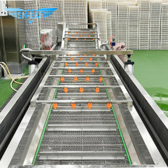 Fruit & Vegetable Washing Line