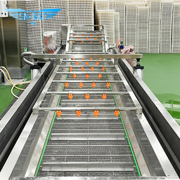 Fruit & Vegetable Washing Line