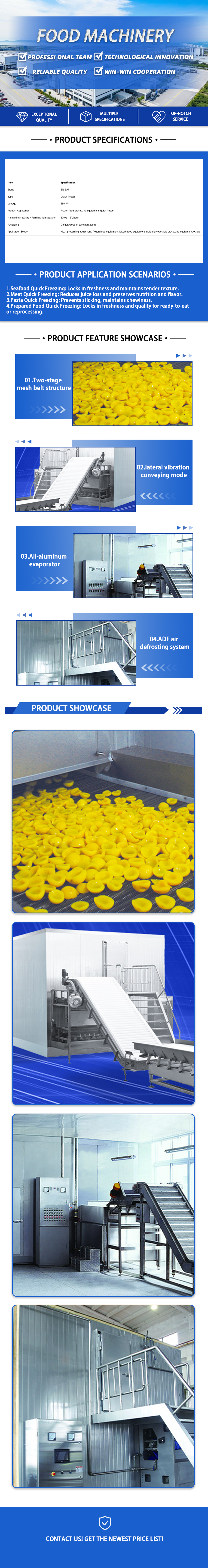 Fluidized Bed Individual Quick Freezer (IQF)