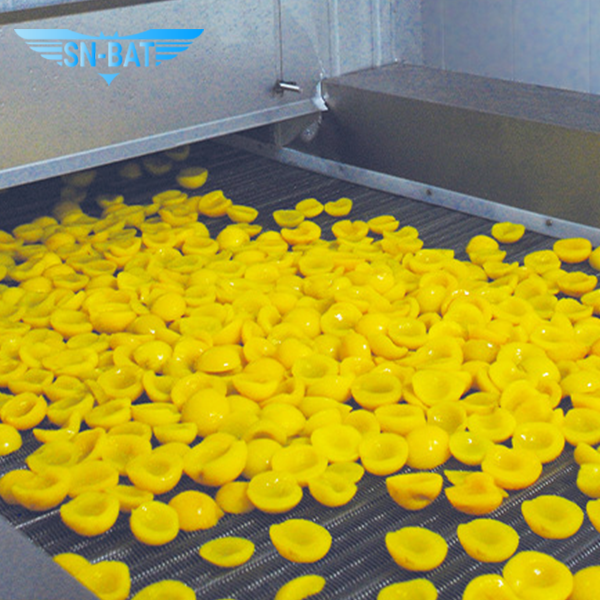 Fluidized Bed Individual Quick Freezer (IQF)