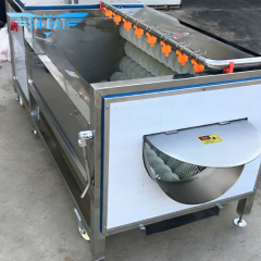 Washing & Peeling Machine