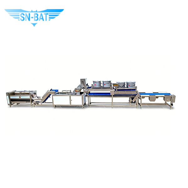 Washing & Peeling Machine