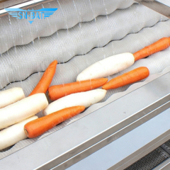 Washing & Peeling Machine