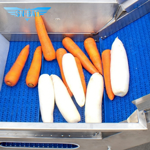 Washing & Peeling Machine