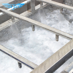 Washing & Peeling Machine