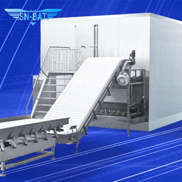 Fluidized Bed Individual Quick Freezer (IQF)