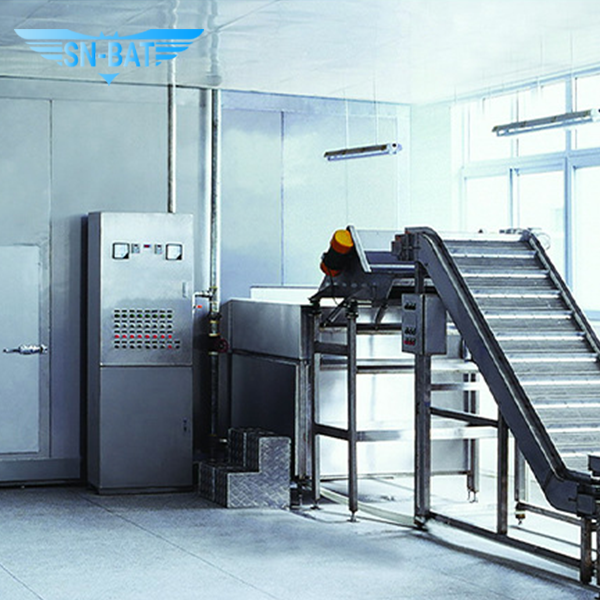 Fluidized Bed Individual Quick Freezer (IQF)