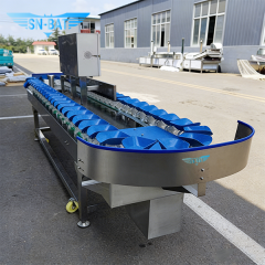 Grading & Sorting Machinery