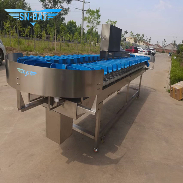 Grading & Sorting Machinery