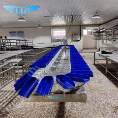 Grading & Sorting Machinery