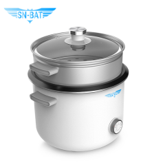 Electric Rice Cooker