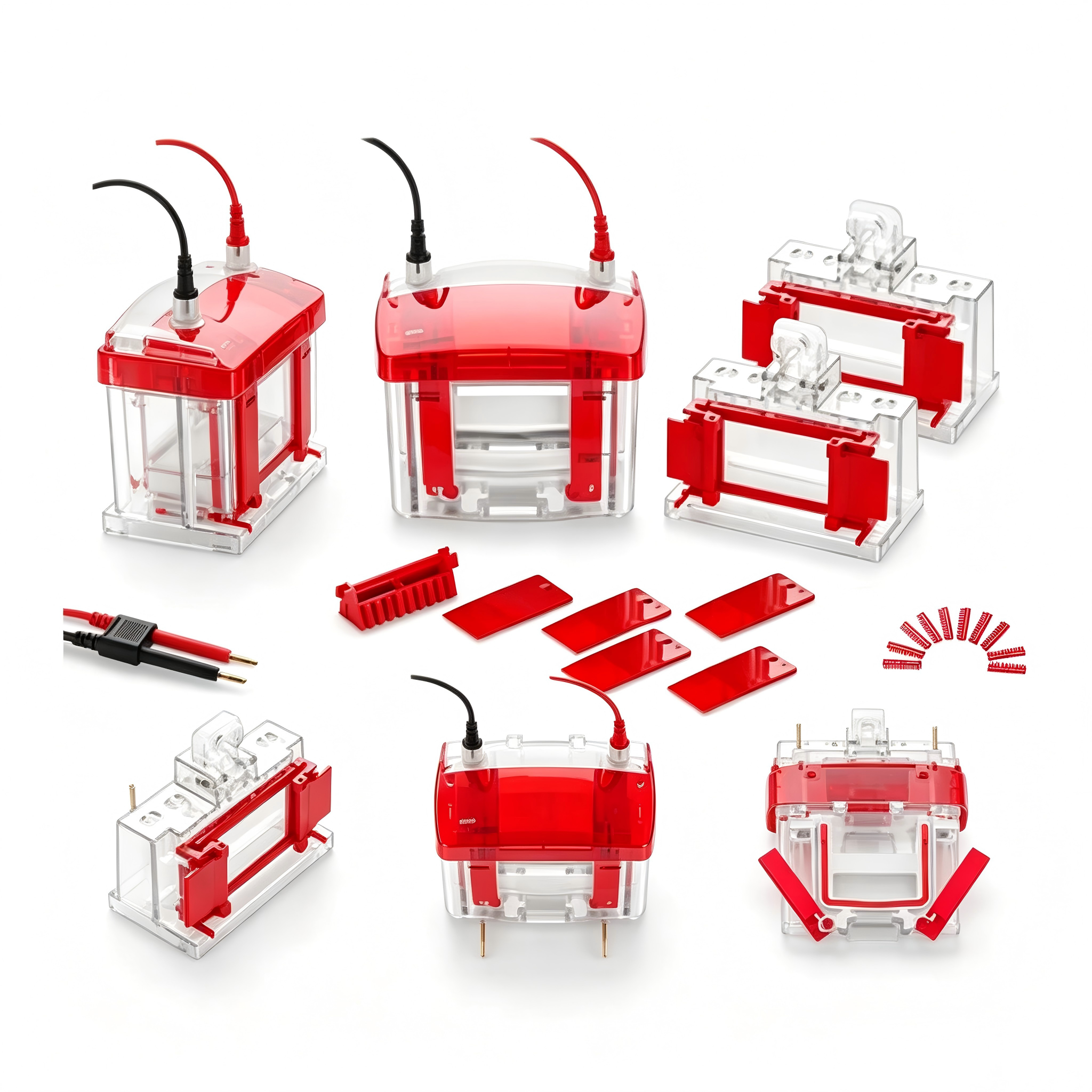Mini Vertical Electrophoresis CellIlabcarta Technology Co., Ltd.