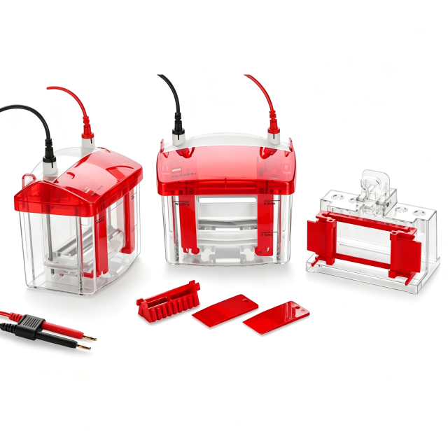 Mini Vertical Electrophoresis CellIlabcarta Technology Co., Ltd.