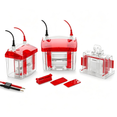 Mini Vertical Electrophoresis CellIlabcarta Technology Co., Ltd.