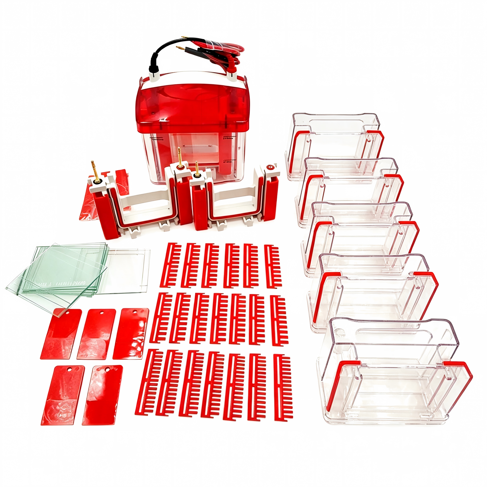Mini Easy Vertical Electrophoresis CellsIlabcarta Technology Co., Ltd.