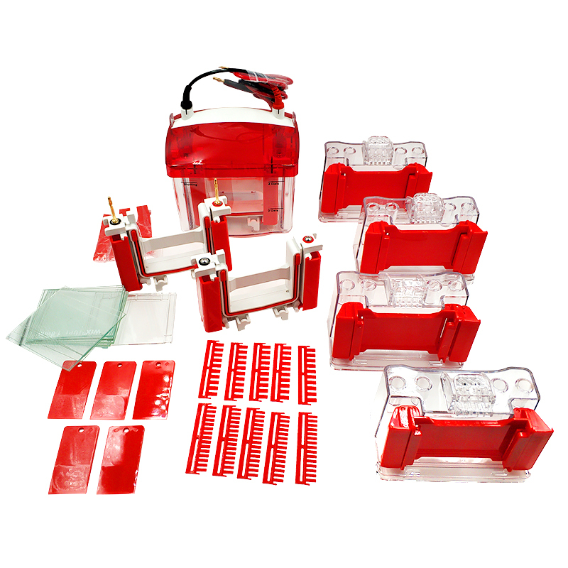 Mini easy vertical electrophoresis cells for lab SDS‑PAGE protein gel electrophoresis experiment