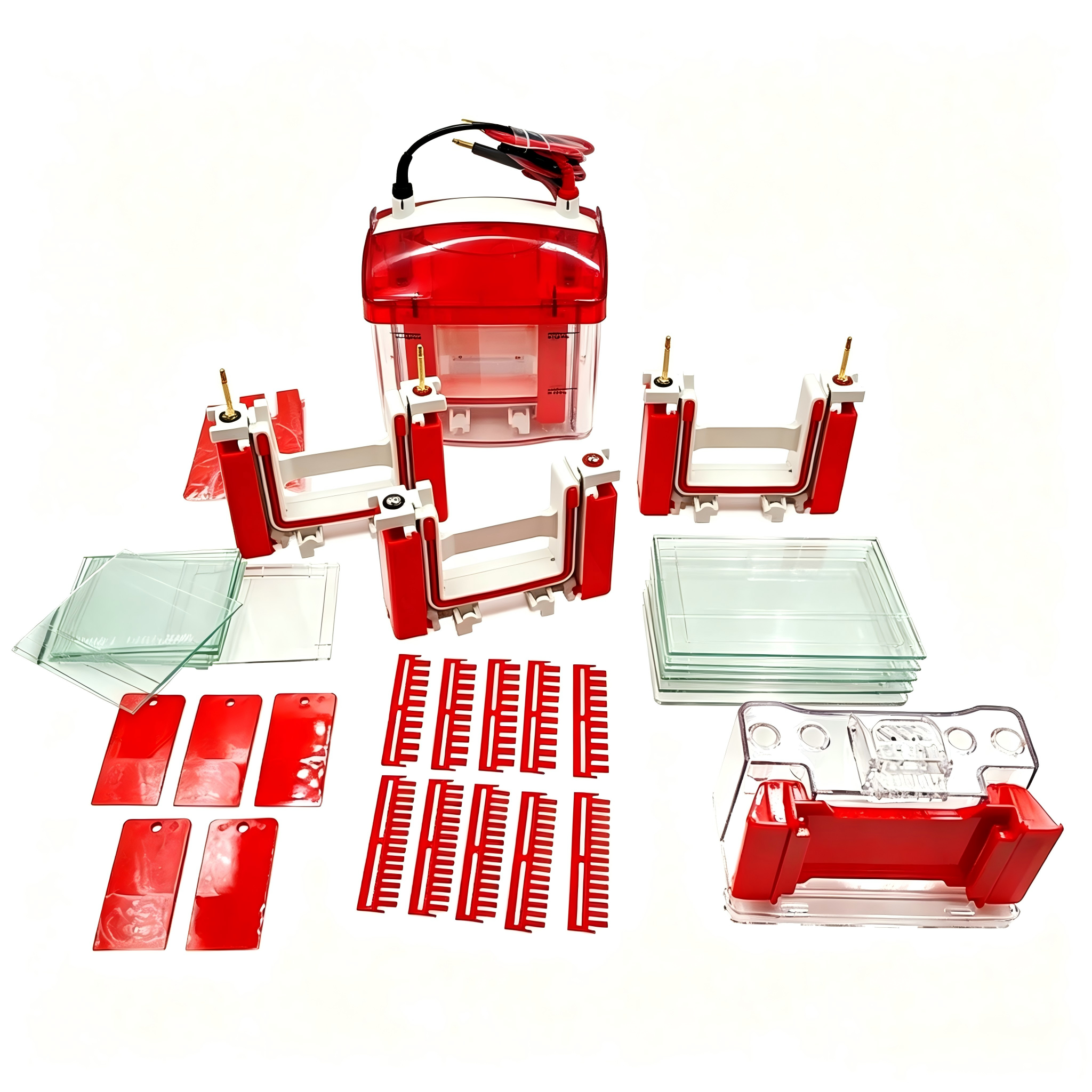 Mini Easy Vertical Electrophoresis CellsIlabcarta Technology Co., Ltd.