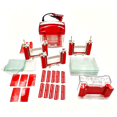 Mini Easy Vertical Electrophoresis CellsIlabcarta Technology Co., Ltd.