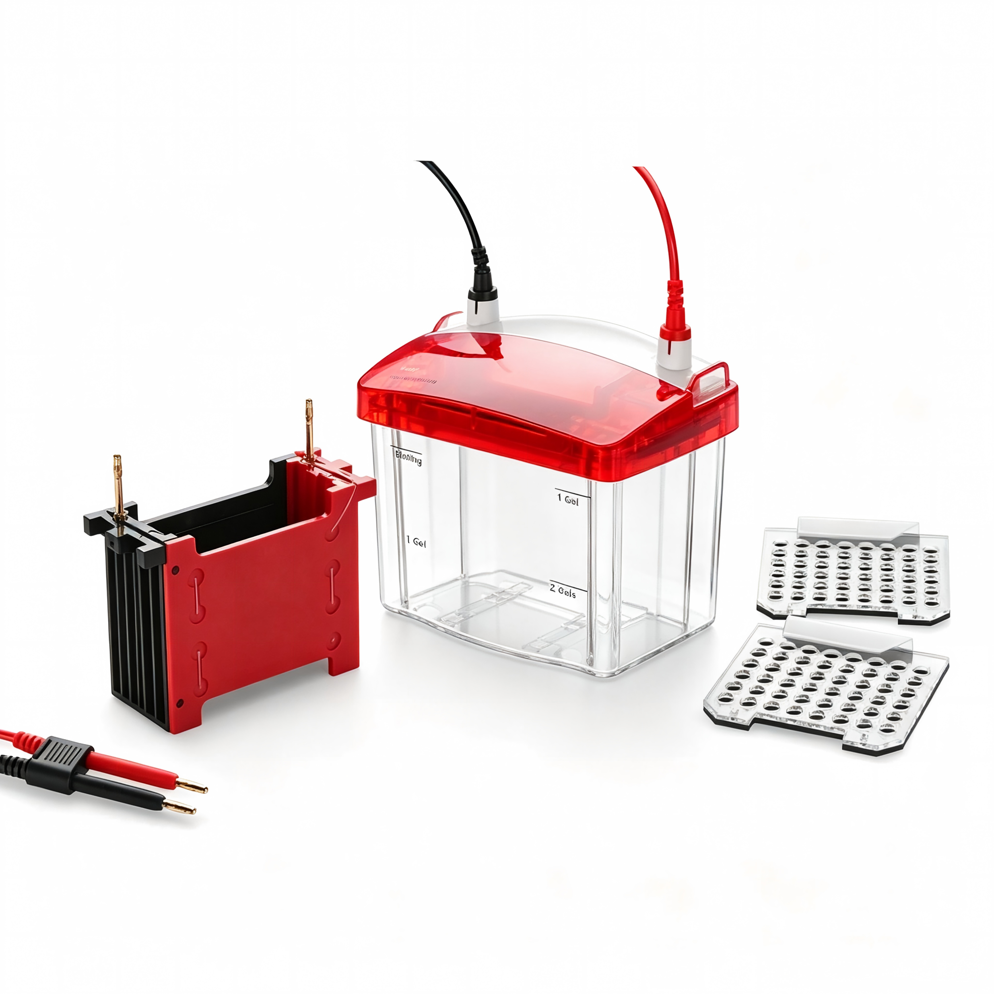 Mini Vertical Blot Transfer CellIlabcarta Technology Co., Ltd.