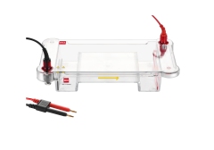 Multi‑Purpose Horizontal Electrophoresis CellIlabcarta Technology Co., Ltd.
