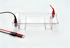 Multi‑purpose horizontal electrophoresis cell for lab PCR DNA nucleic acid gel electrophoresis experiment