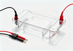 Multi‑Purpose Horizontal Electrophoresis CellIlabcarta Technology Co., Ltd.