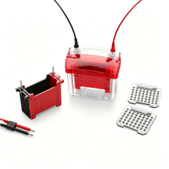 Mini Vertical Blot Transfer CellIlabcarta Technology Co., Ltd.