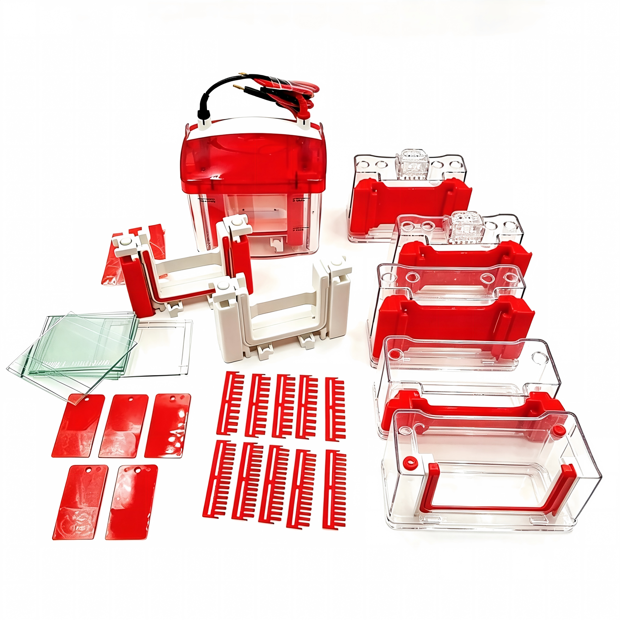 Precast Gel Vertical Electrophoresis CellsIlabcarta Technology Co., Ltd.