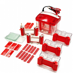 Precast Gel Vertical Electrophoresis CellsIlabcarta Technology Co., Ltd.