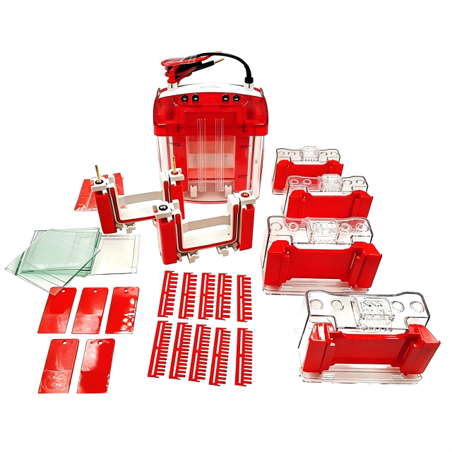 Precast Gel Vertical Electrophoresis CellsIlabcarta Technology Co., Ltd.