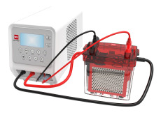 Wet fast blot transfer system for western blot protein gel transfer experiment