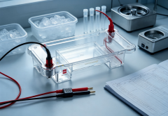 Mini horizontal electrophoresis tankIlabcarta Technology Co., Ltd.