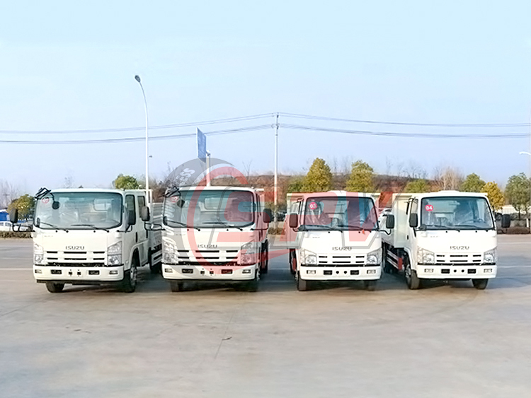 ISUZU  Double Cab Sand Tipper Truck