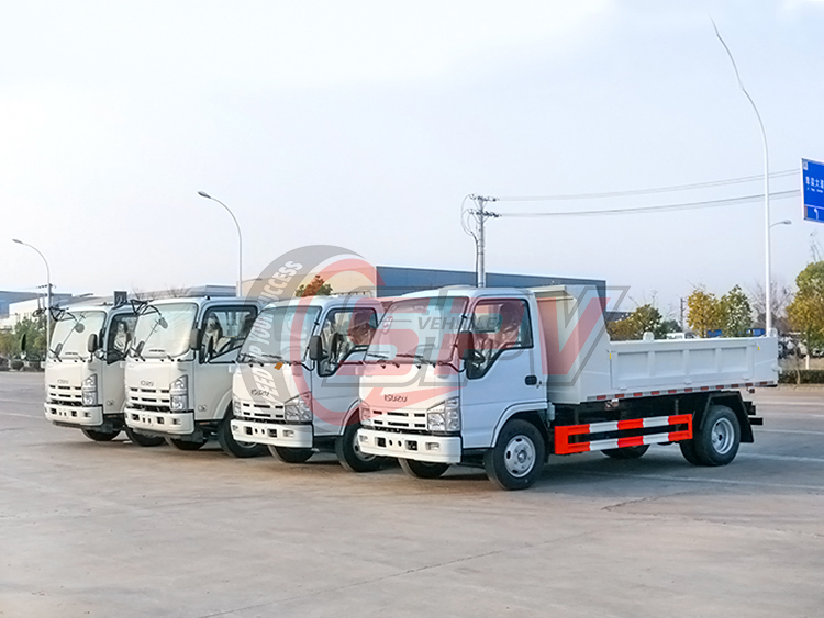 ISUZU  Double Cab Sand Tipper Truck